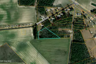 1 Hollandtown Rd, Salemburg, NC 28385 - Photo 1