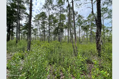 811 Brittany Road, Southport, NC 28461 - Photo 20