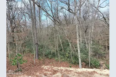 1541 Grandiflora Drive, Leland, NC 28451 - Photo 24