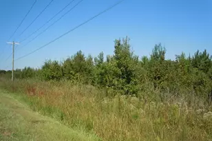 Tbd Near 10807 Andrew Jackson Hwy, Fair Bluff, NC 28439 - Photo 1