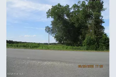 0 Turkey Highway, Turkey, NC 28393 - Photo 10