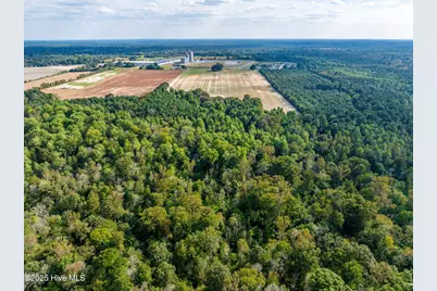 0 Turkey Highway, Turkey, NC 28393 - Photo 6