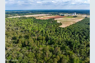 0 Turkey Highway, Turkey, NC 28393 - Photo 4