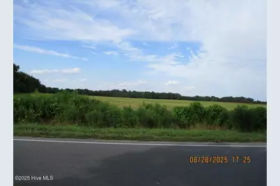 0 Turkey Highway, Turkey, NC 28393 - Photo 8