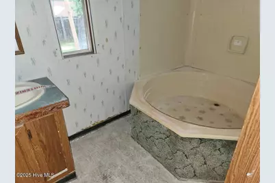 317 Newsome Grove Road, Ahoskie, NC 27910 - Photo 6