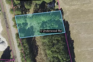 0 Underwood Rd, Murfreesboro, NC 27855 - Photo 1