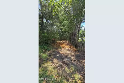 0 Underwood Road, Murfreesboro, NC 27855 - Photo 6
