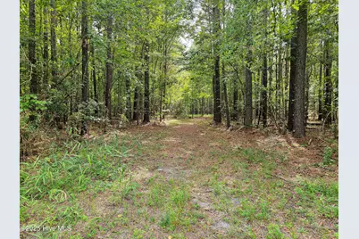 Lot 77 McGowan Road, Bath, NC 27808 - Photo 4