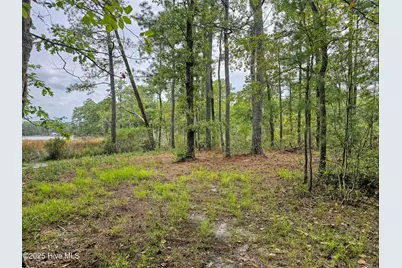 Lot 77 McGowan Road, Bath, NC 27808 - Photo 10