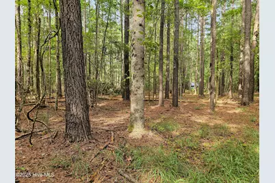 Lot 77 McGowan Road, Bath, NC 27808 - Photo 6