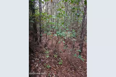 0 Carbonton Road, Sanford, NC 27330 - Photo 8