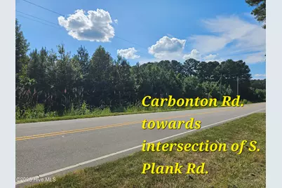 0 Carbonton Road, Sanford, NC 27330 - Photo 4