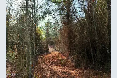 0 Lagrange Road, La Grange, NC 28551 - Photo 12
