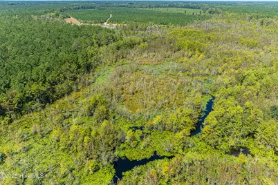 000 Butler Town Road, Clarendon, NC 28432 - Photo 18