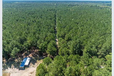 000 Butler Town Road, Clarendon, NC 28432 - Photo 14
