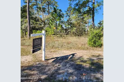 551 Glitter Bay Court, Shallotte, NC 28470 - Photo 2