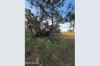 0 Sr 1730 Old Pamlico Beach Road West, Belhaven, NC 27810 - Photo 8
