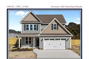 262 Fields Road NW, Pikeville, NC 27863 - Photo 4