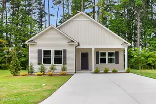 318 Camp Creek Dr, Oriental, NC 28571 - Photo 1