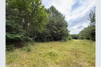 0 Doc Brown Road, Rose Hill, NC 27458 - Photo 52