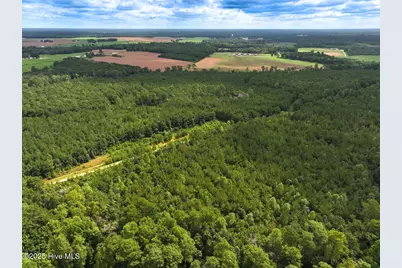 0 Doc Brown Road, Rose Hill, NC 27458 - Photo 38