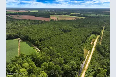 0 Doc Brown Road, Rose Hill, NC 27458 - Photo 10