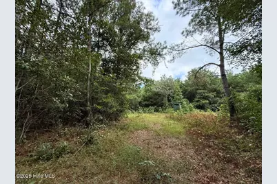 0 Doc Brown Road, Rose Hill, NC 27458 - Photo 58