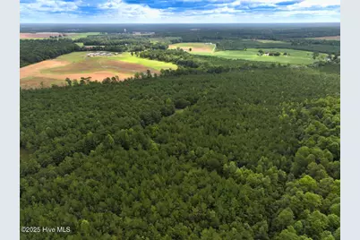 0 Doc Brown Road, Rose Hill, NC 27458 - Photo 34