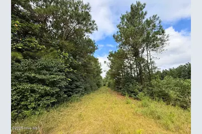 0 Doc Brown Road, Rose Hill, NC 27458 - Photo 50