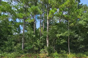 9001 Wilmington Hwy, Holly Ridge, NC 28445 - Photo 12
