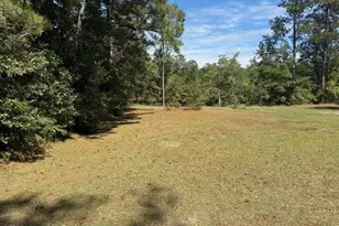 1067 River Rd, Tabor City, NC 28463 - Photo 1