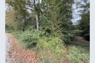 2 Galestown Road, Rockingham, NC 28379 - Photo 4