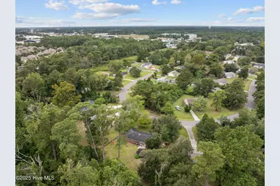 233 Buff Circle, Wilmington, NC 28411 - Photo 46