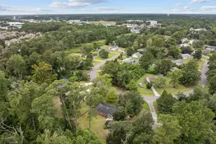 233 Buff Cir, Wilmington, NC 28411 - Photo 46