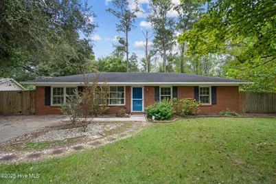 233 Buff Circle, Wilmington, NC 28411 - Photo 1
