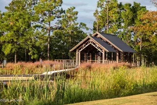 209 Coastal Dune Ct, Wilmington, NC 28412 - Photo 20