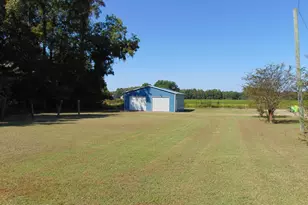 13619 US Hwy 258, Scotland Neck, NC 27874 - Photo 88