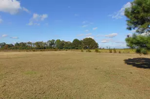 13619 US Hwy 258, Scotland Neck, NC 27874 - Photo 70