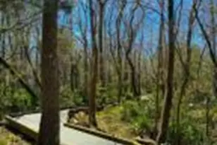 1151 Natal Dr SE, Bolivia, NC 28422 - Photo 34