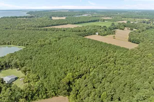 4961 Kelly Rd, Bath, NC 27808 - Photo 14