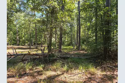 828 Loblolly Drive SW, Shallotte, NC 28470 - Photo 22