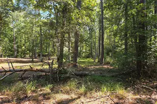 828 Loblolly Dr SW, Shallotte, NC 28470 - Photo 22