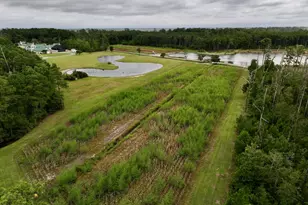 811 Hwy 70, Davis, NC 28524 - Photo 62