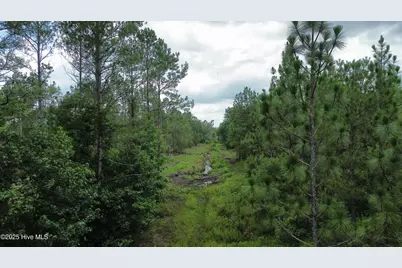 250 Long Bluff Road, Currie, NC 28435 - Photo 20