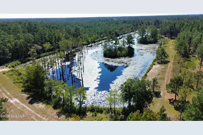250 Long Bluff Road, Currie, NC 28435 - Photo 12