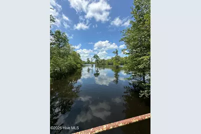 250 Long Bluff Road, Currie, NC 28435 - Photo 10