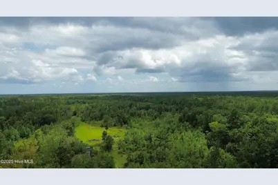 250 Long Bluff Road, Currie, NC 28435 - Photo 18