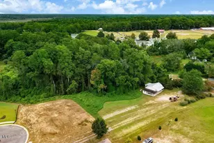 269 S Coral Bells Wy, Four Oaks, NC 27524 - Photo 6