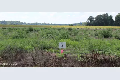 950 Whaley Road, Kinston, NC 28501 - Photo 1