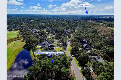 3158 Moss Hammock Wynd, Southport, NC 28461 - Photo 10